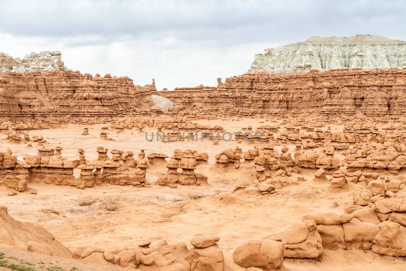 Hoodoos in Goblin Valley State Park, Utah by Njean