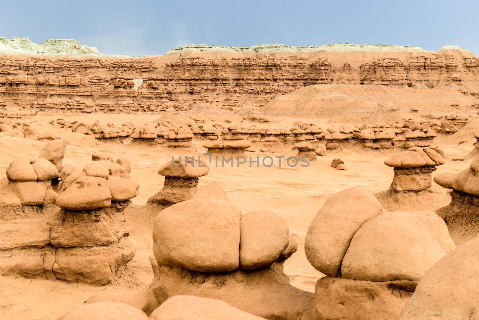 Hoodoos in Goblin Valley State Park, Utah by Njean