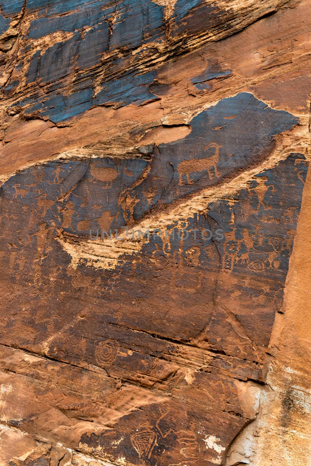 Petroglyph panel at the Utah Highway 279 Rock Art Site by Njean