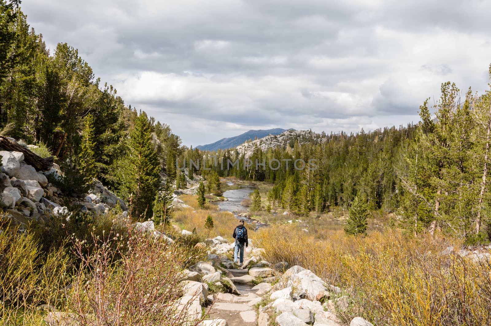 Hiker in Little Lakes Valley, California by Njean