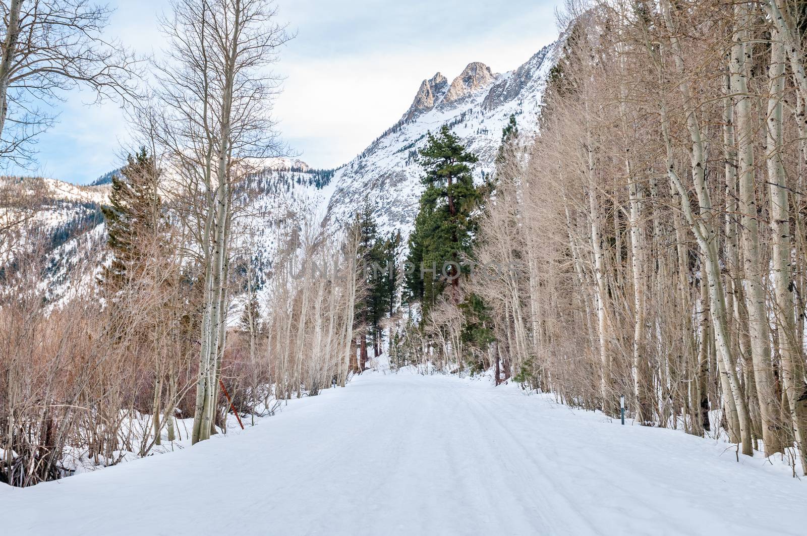 Scenic winter path along June Lake Loop in California