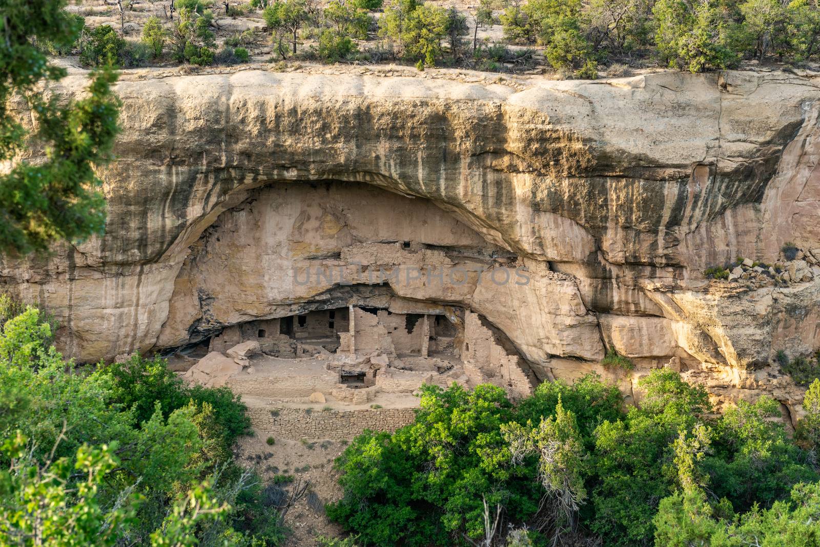 Oak Tree House seen from Sun Point View in Mesa Verde National Park, Colorado by Njean