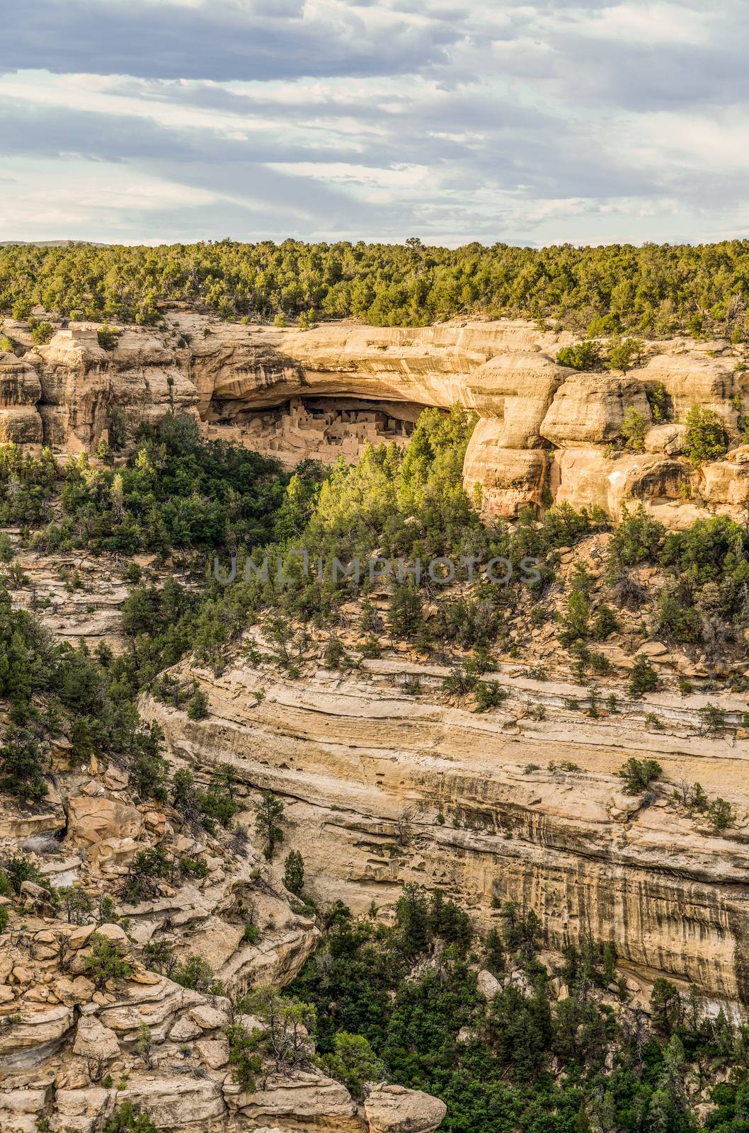 Cliff Palace seen from Sun Point View in Mesa Verde National Park, Colorado by Njean