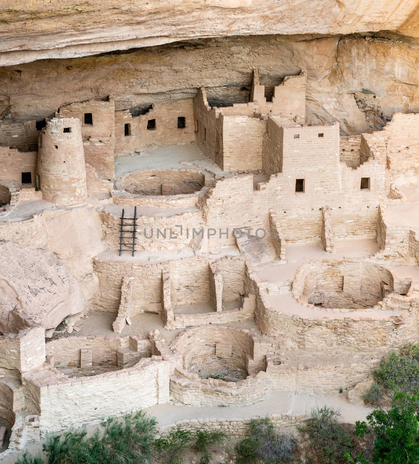 Cliff Palace overlook in Mesa Verde National Park, Colorado