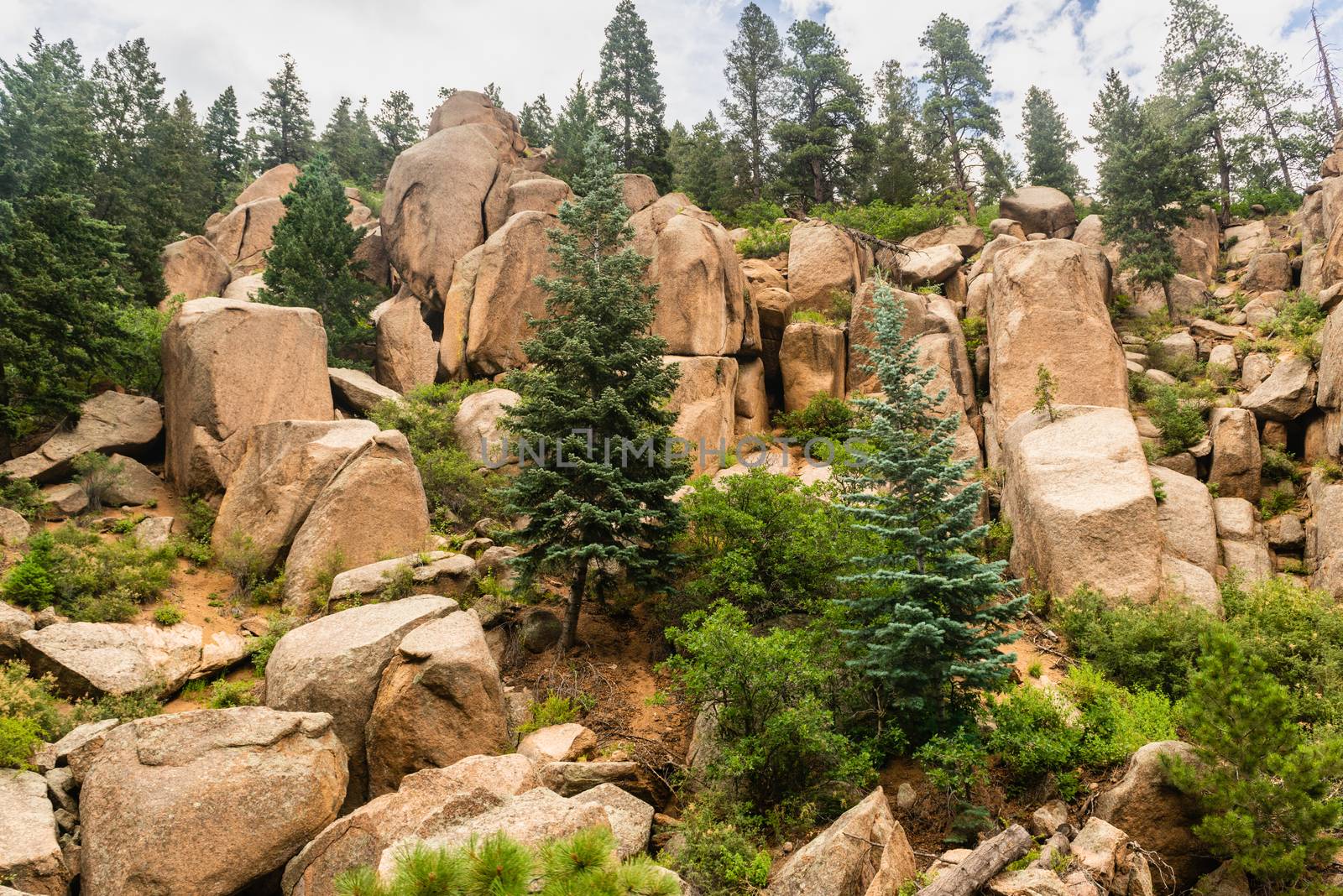 Rocky scenery seen from Pikes Peak Railway in Pike National Forest, Colorado by Njean