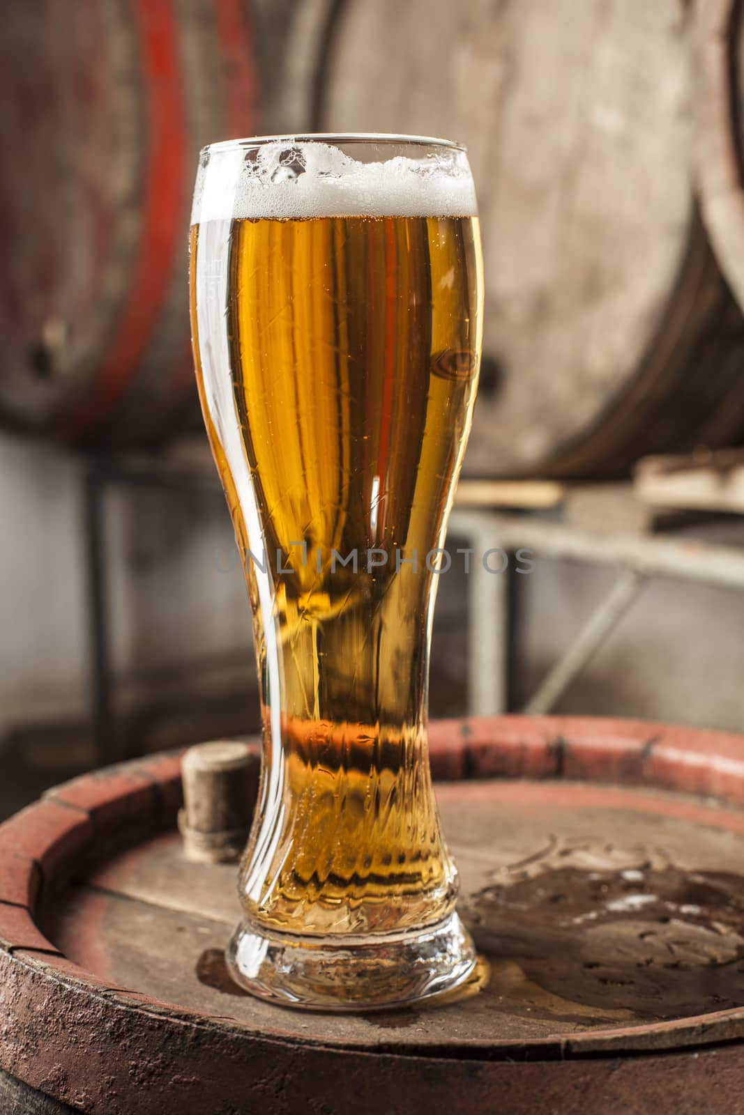 Single Beer Glass with foam and old wood barrels in the background