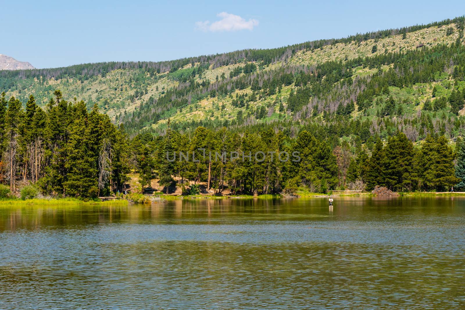 Sprague Lake Trail in Rocky Mountain National Park, Colorado by Njean