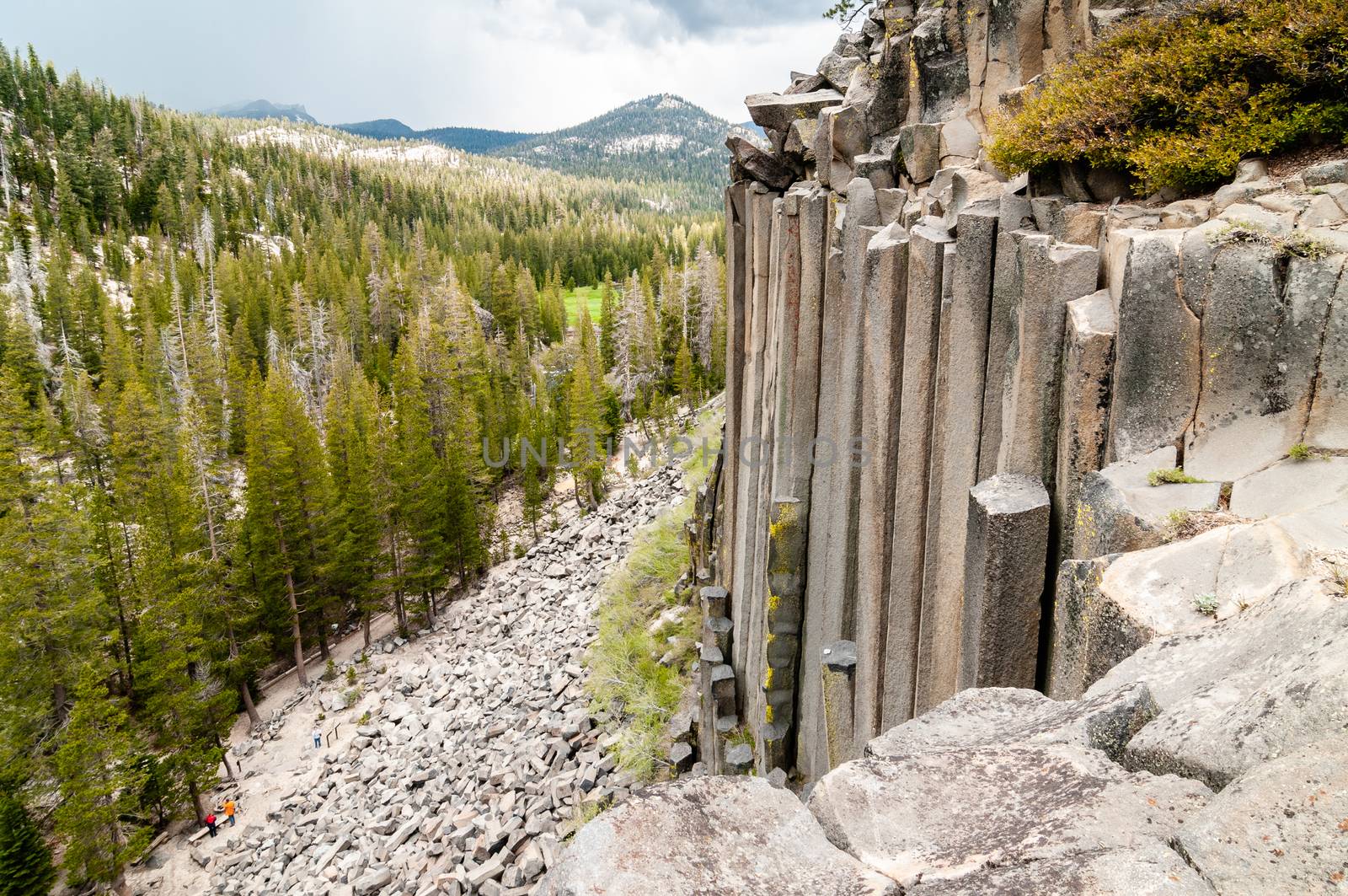 Hexagon basaltic columns seen from the top of Devils Postpile National Monument in Inyo National Forest, Ansel Adams Wilderness