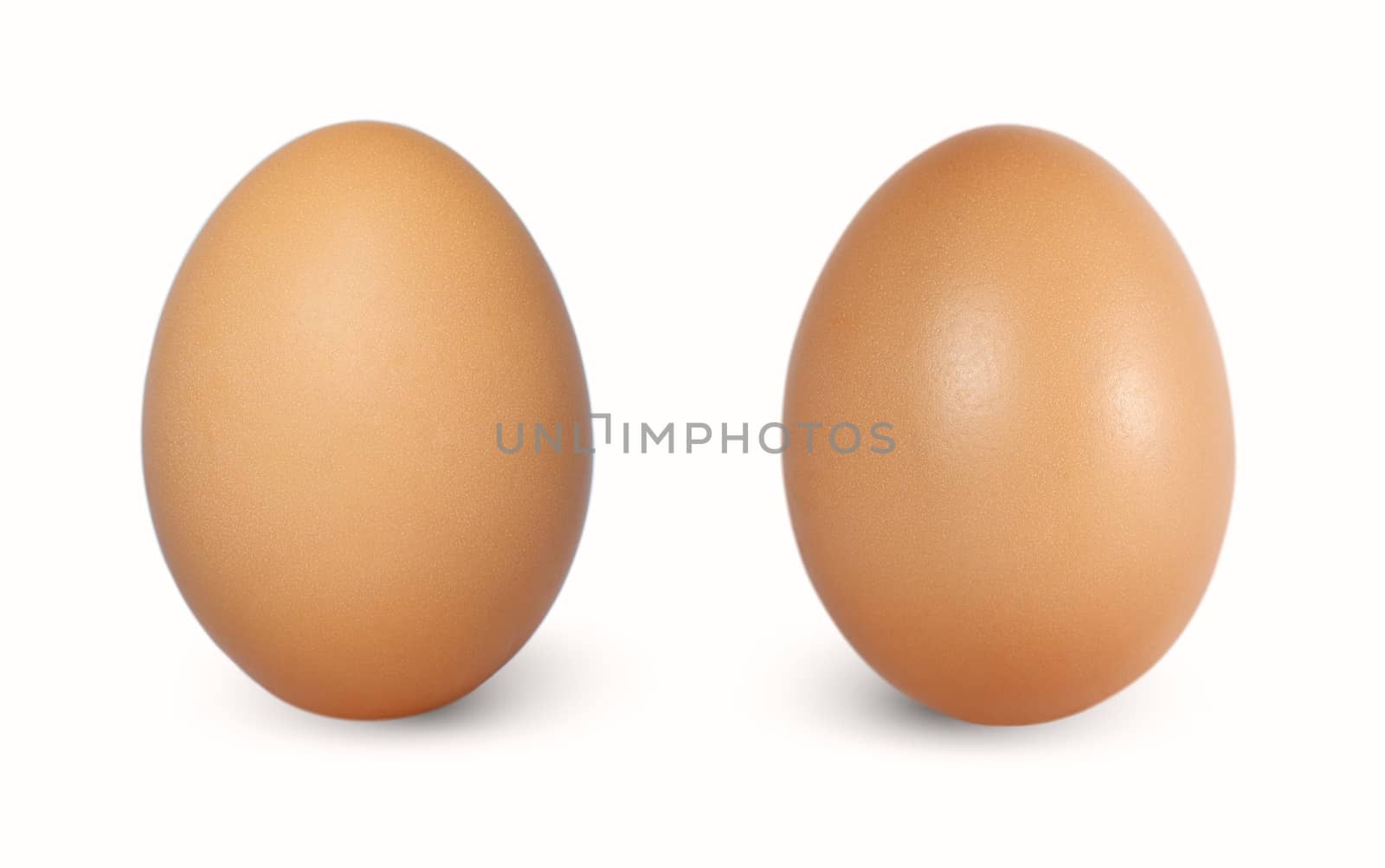 Two brown chicken egg vertical isolated on white background.