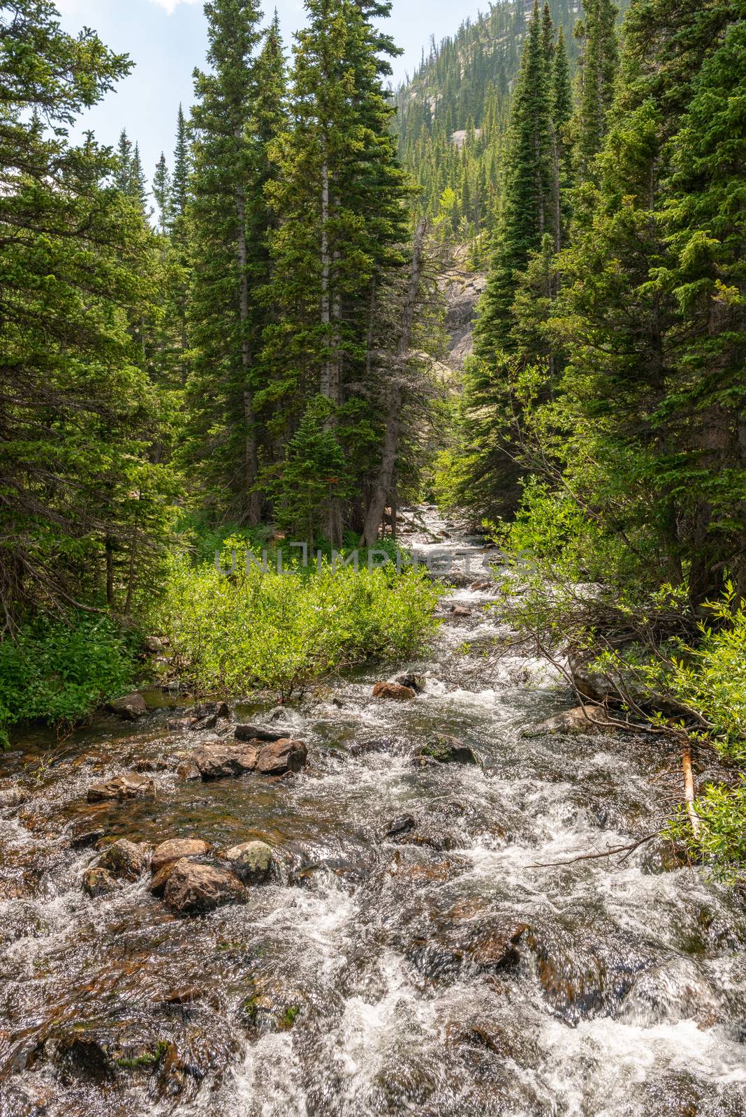 Trail to Mills Lake in Rocky Mountain National Park, Colorado