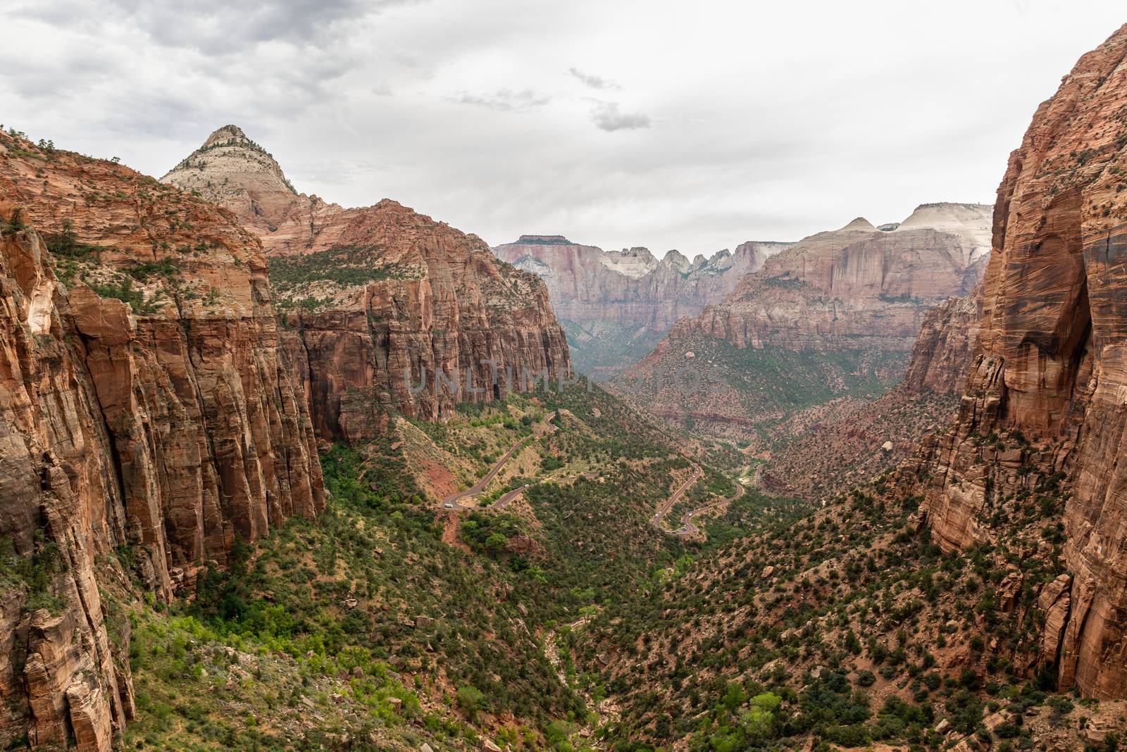 View from the Canyon Overlook Trail in Zion National Park, Utah by Njean