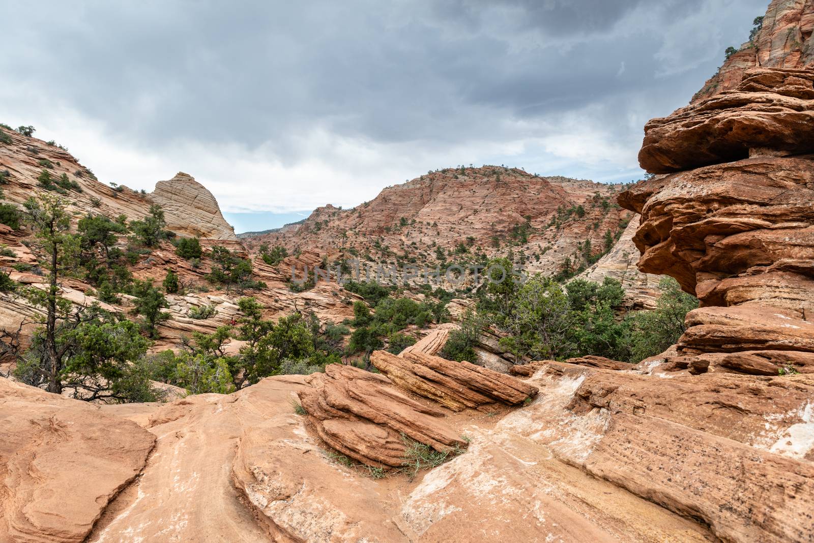 View from the Canyon Overlook Trail in Zion National Park, Utah by Njean