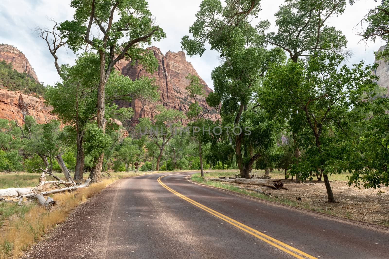 Road through Zion National Park, Utah