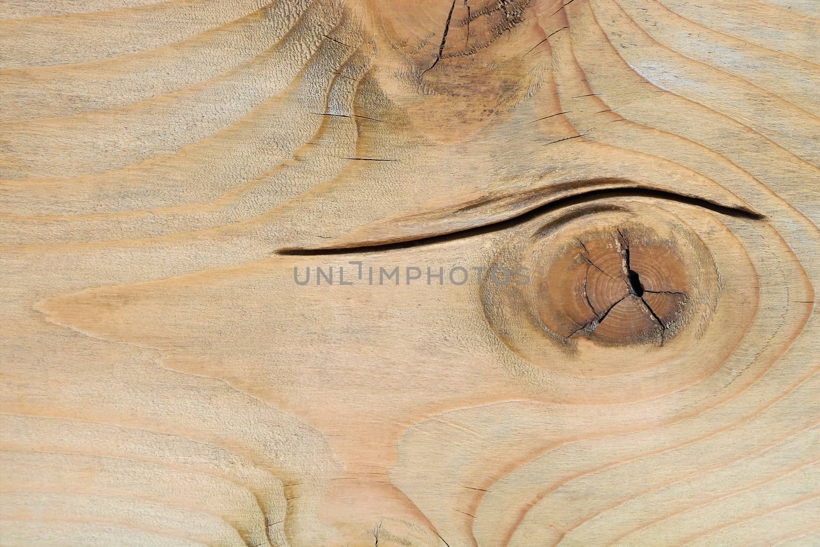 Abstract background, texture of old wood has crack surface, selective focus