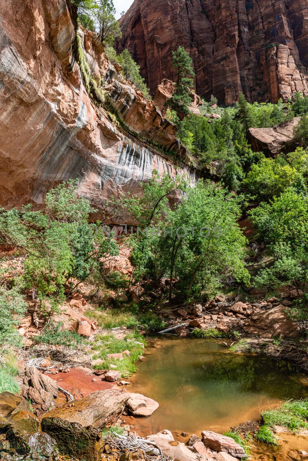 Emerald Pools Trail in Zion National Park, Utah by Njean