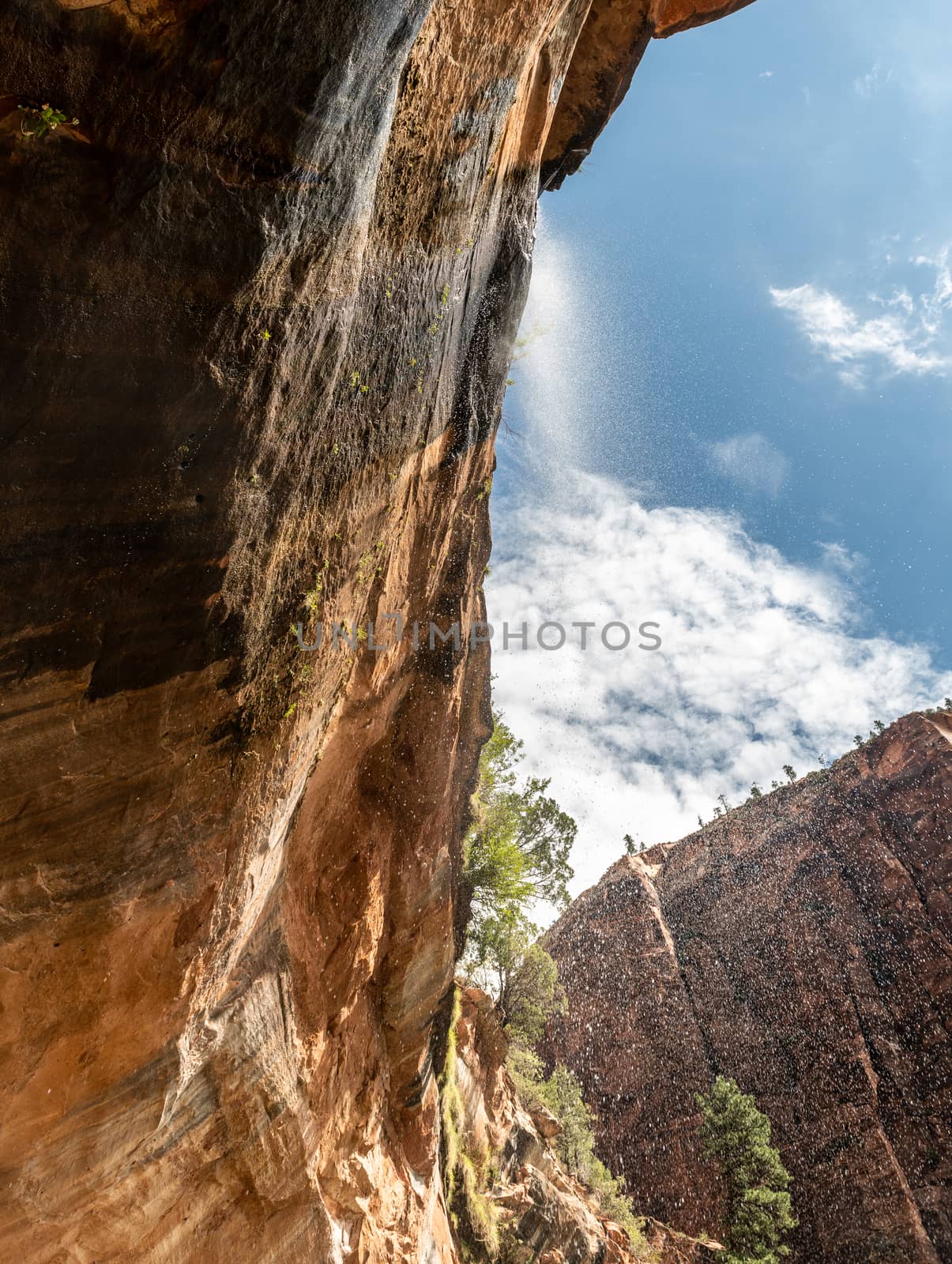 Emerald Pools Trail in Zion National Park, Utah by Njean