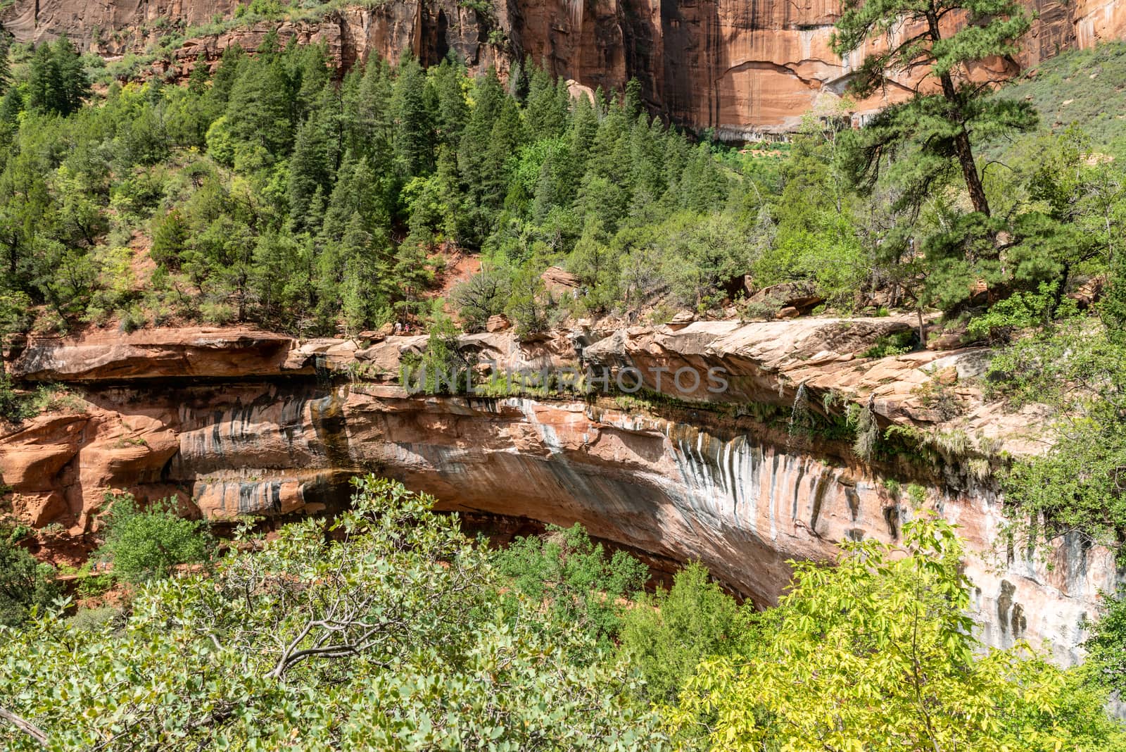 Emerald Pools Trail in Zion National Park, Utah