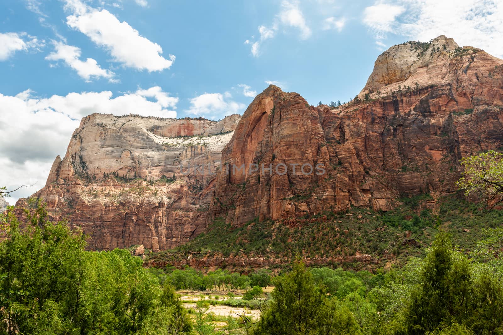 Cliffs seen from the valley floor in Zion National Park, Utah