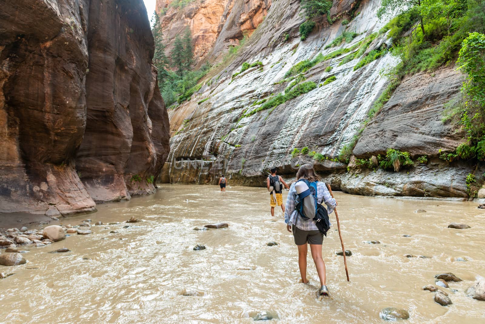 Hikers in the Narrows in Zion National Park, Utah