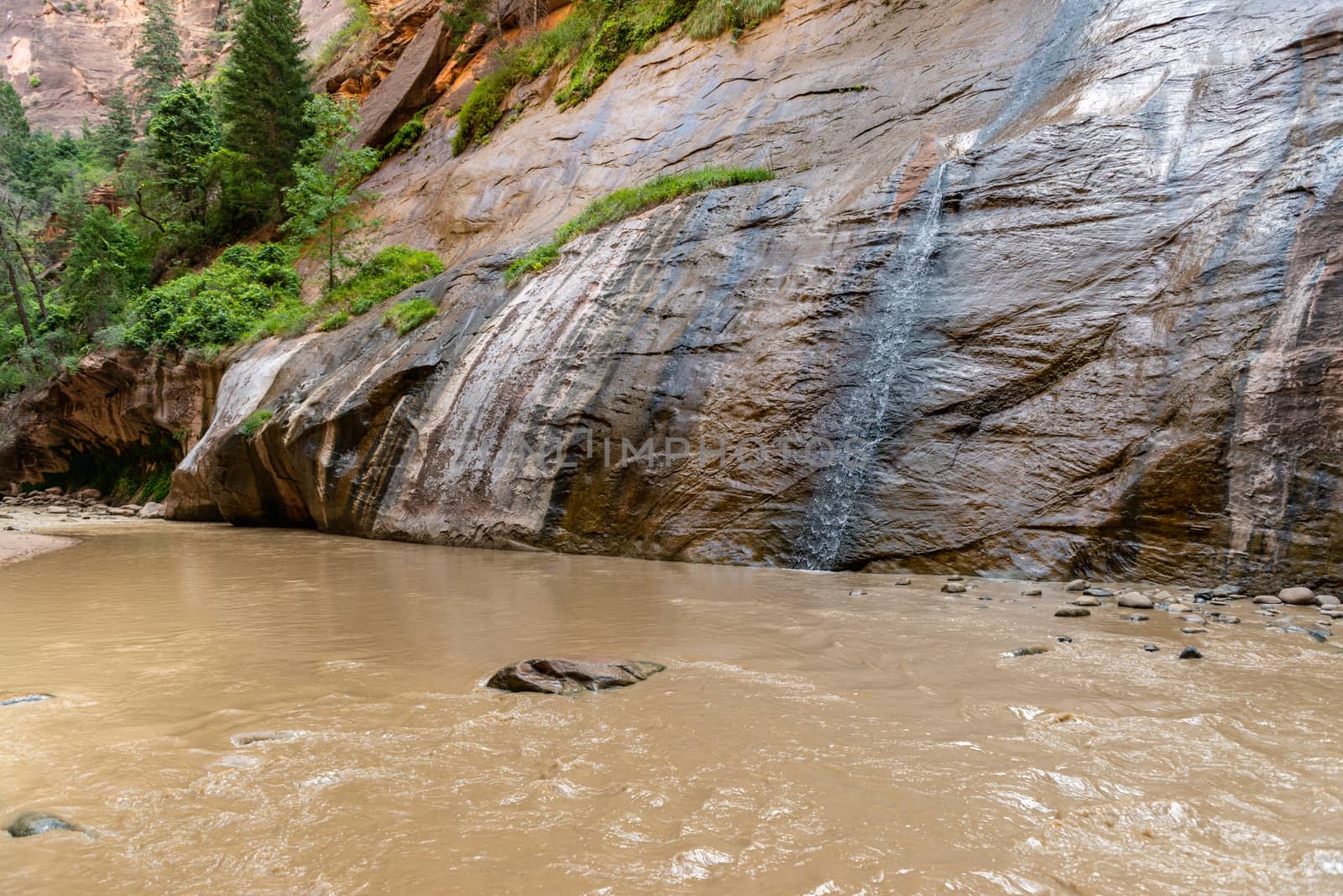 The Narrows in Zion National Park, Utah by Njean