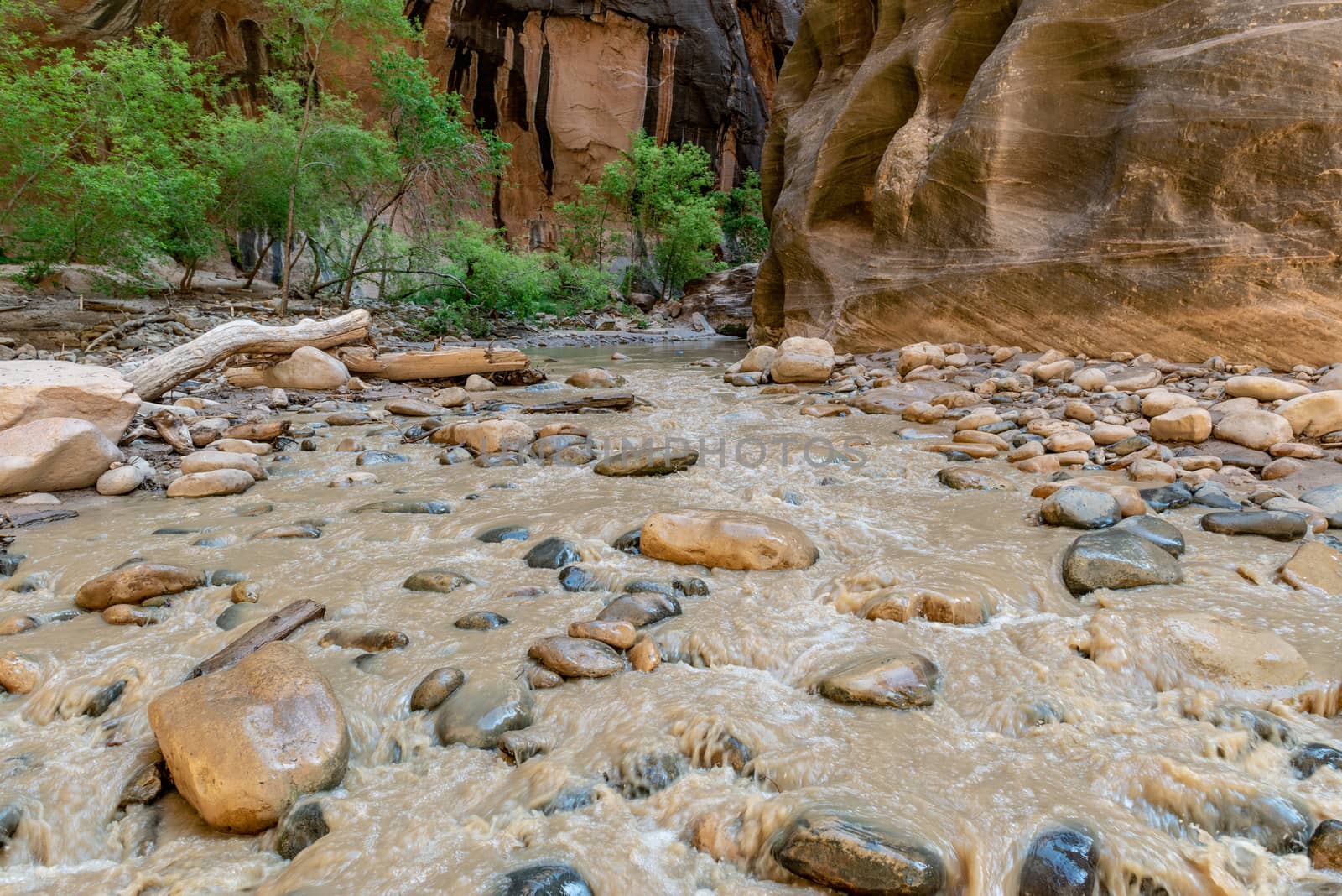 The Narrows in Zion National Park, Utah by Njean