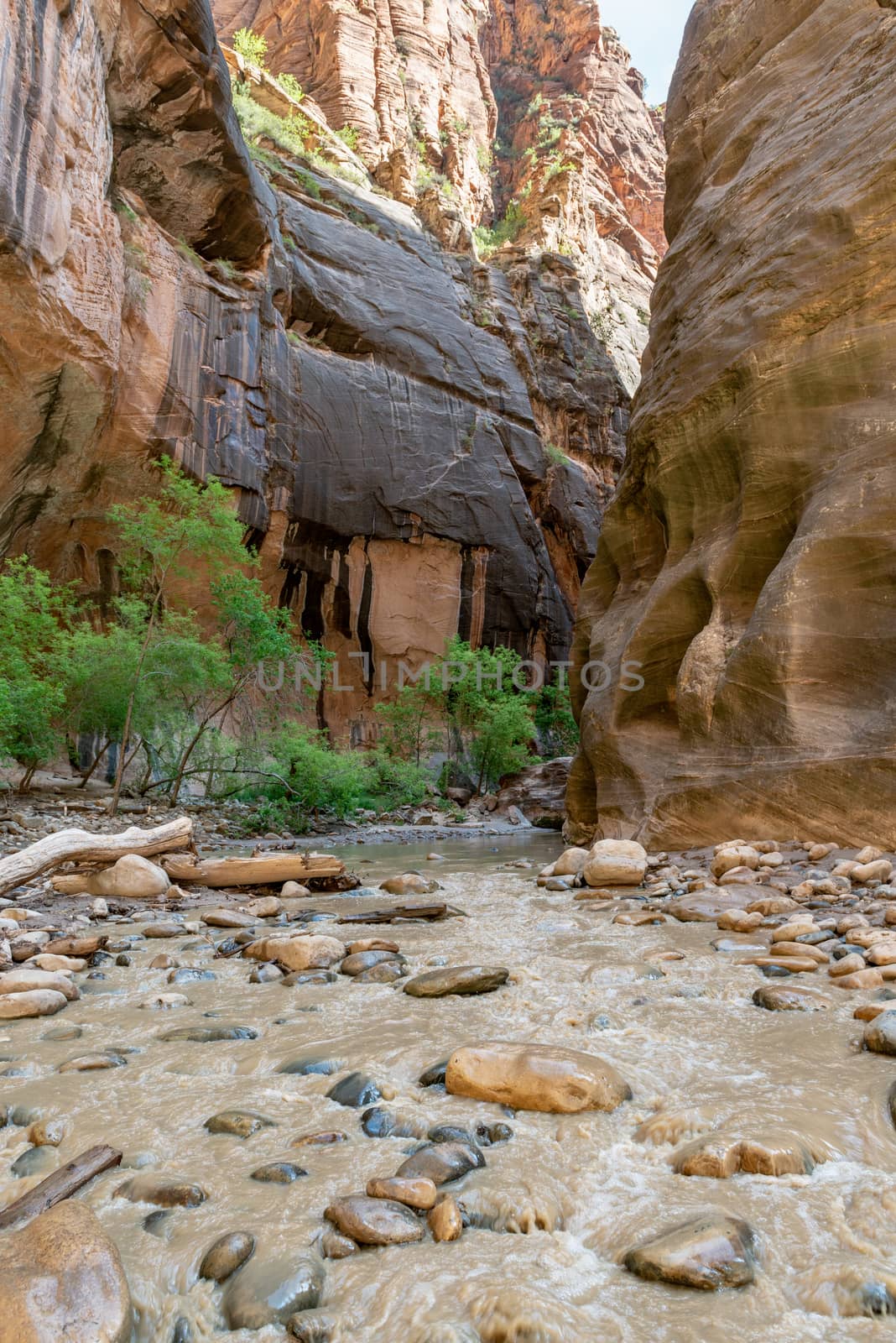 The Narrows in Zion National Park, Utah