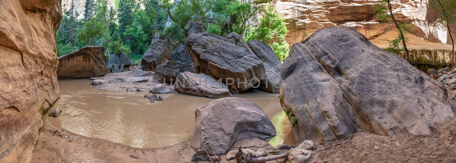 Panorama in the Narrows in Zion National Park, Utah by Njean
