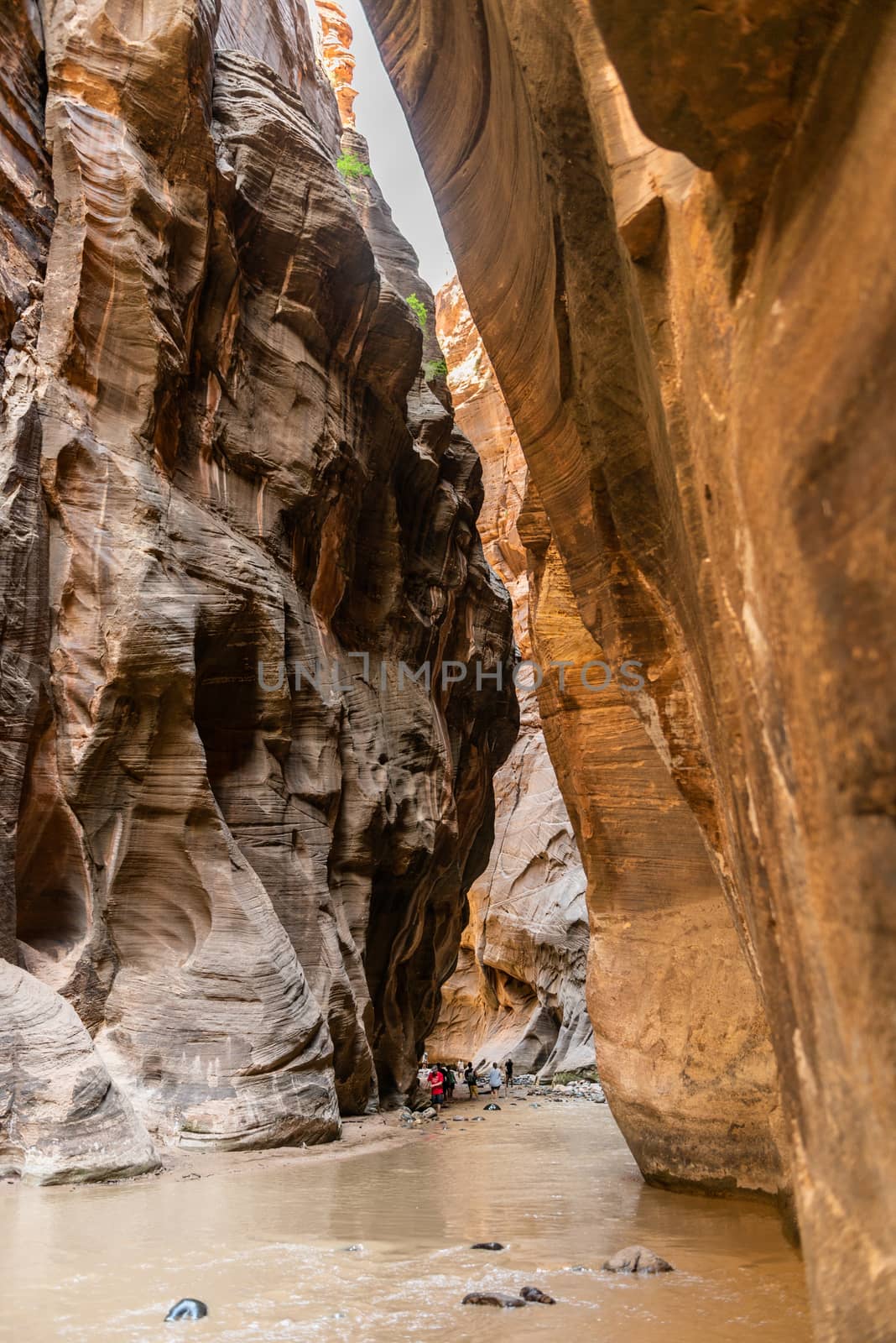 The Narrows in Zion National Park, Utah