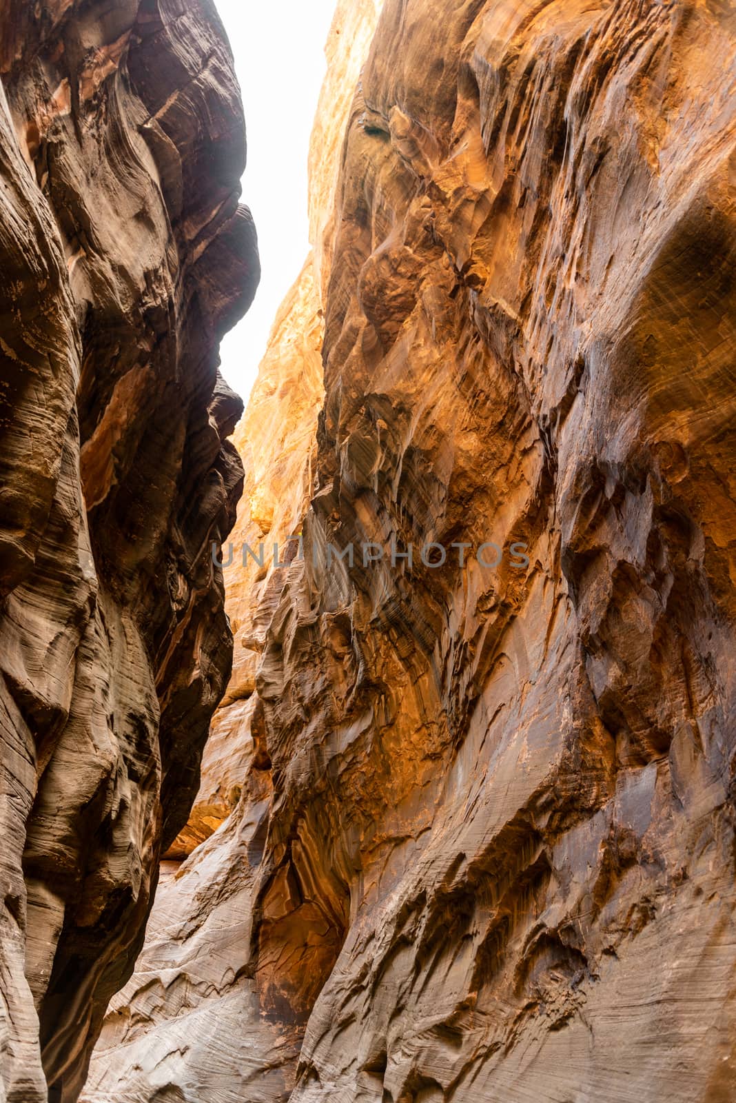 The Narrows in Zion National Park, Utah by Njean