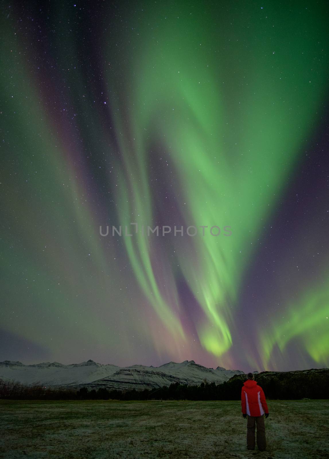 Person watching an awesome aurora over mountains covered with snow, in Iceland, in November 2017.