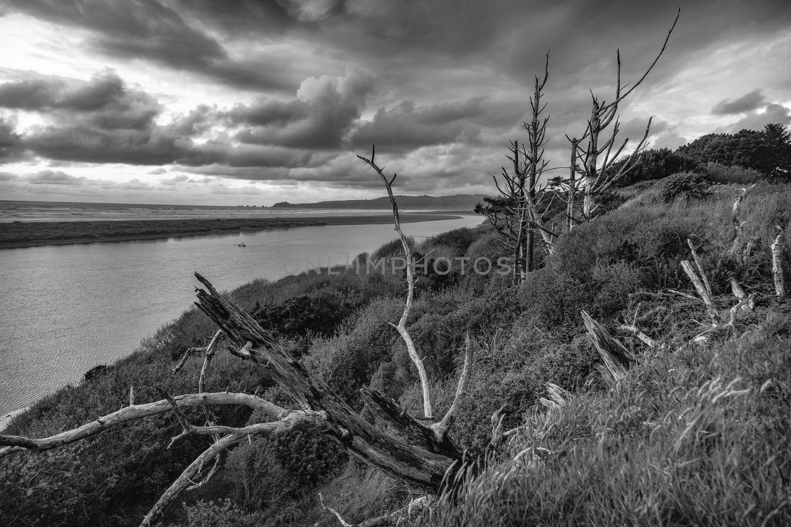 A black and white image of the Mad River in Northern California.