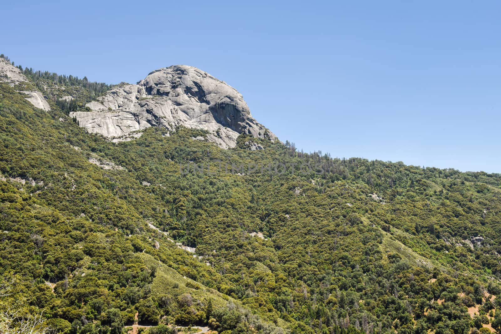 View of Moro Rock from the Generals Highway in Sequoia National Park, California by Njean