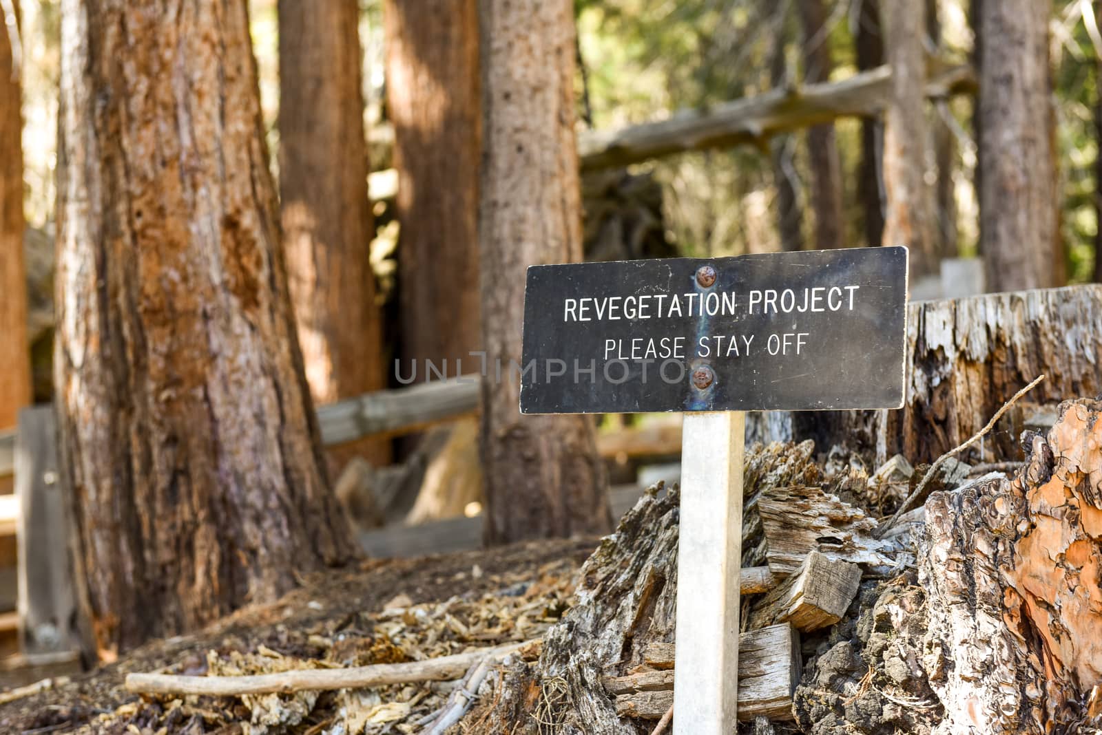 Revegetation Project sign in Sequoia National Park, California by Njean