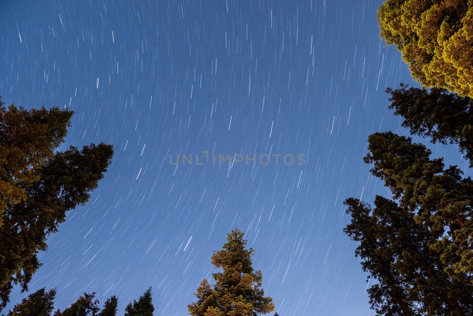 Star trails in Dorst Creek campground in Sequoia National Park, California
