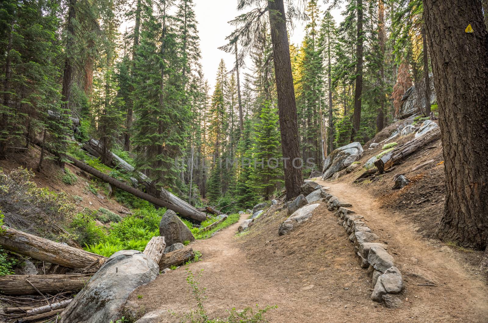 Sunset Rock trail in Sequoia National Park, California