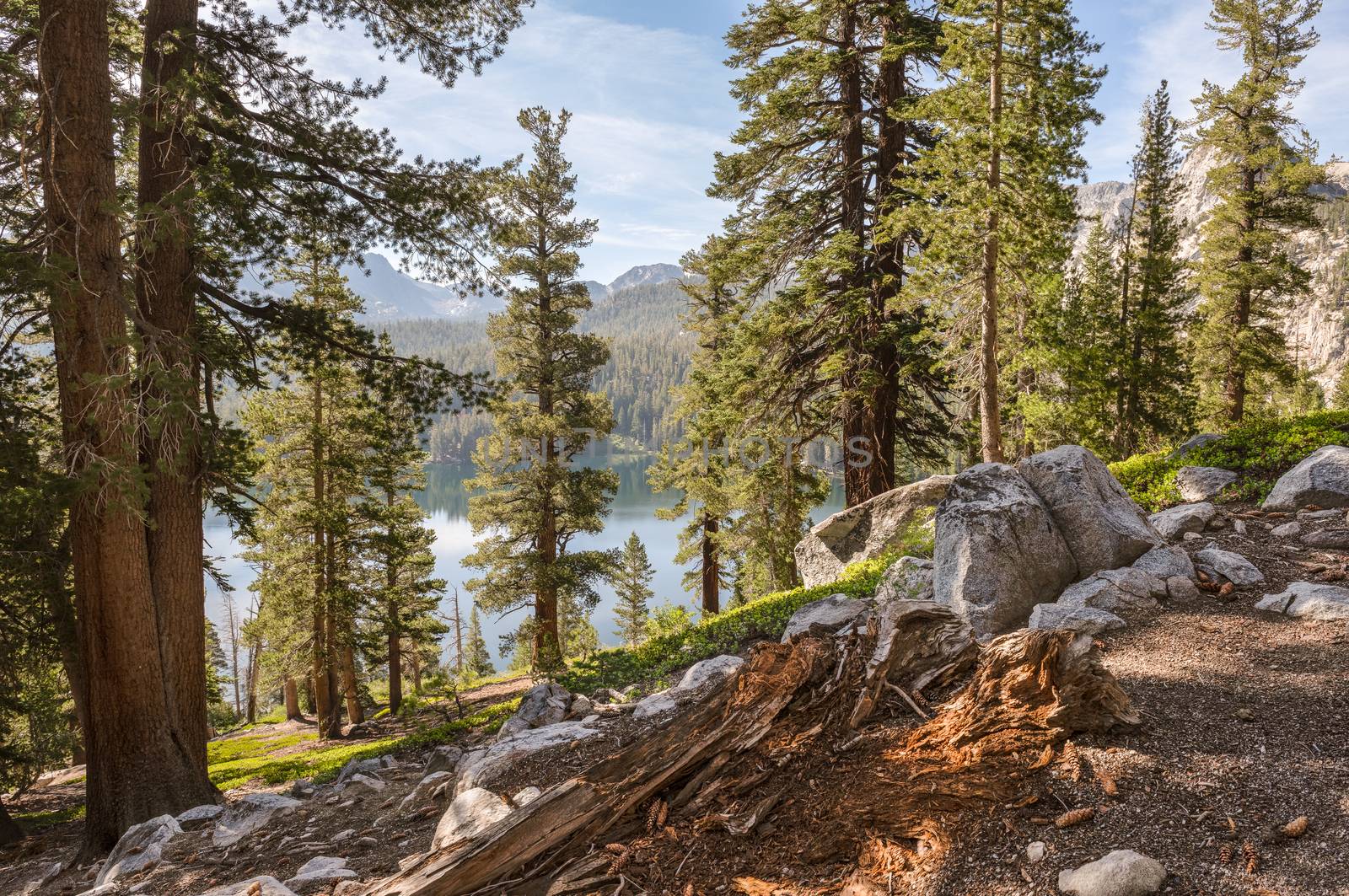 Mountainside with pine trees and lake in the distance in Mammoth Lakes, California