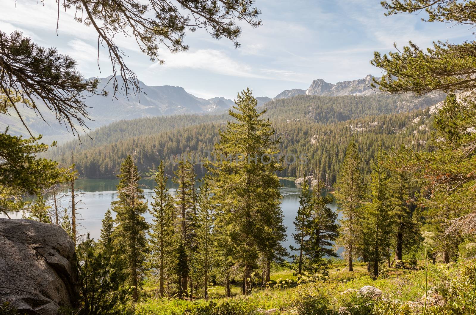 Mountainside with pine trees and lake in the distance in Mammoth Lakes, California by Njean