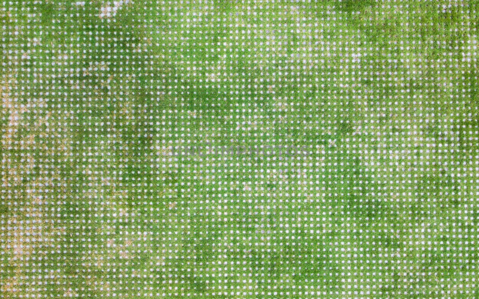 square concrete block with green grass on the walkway