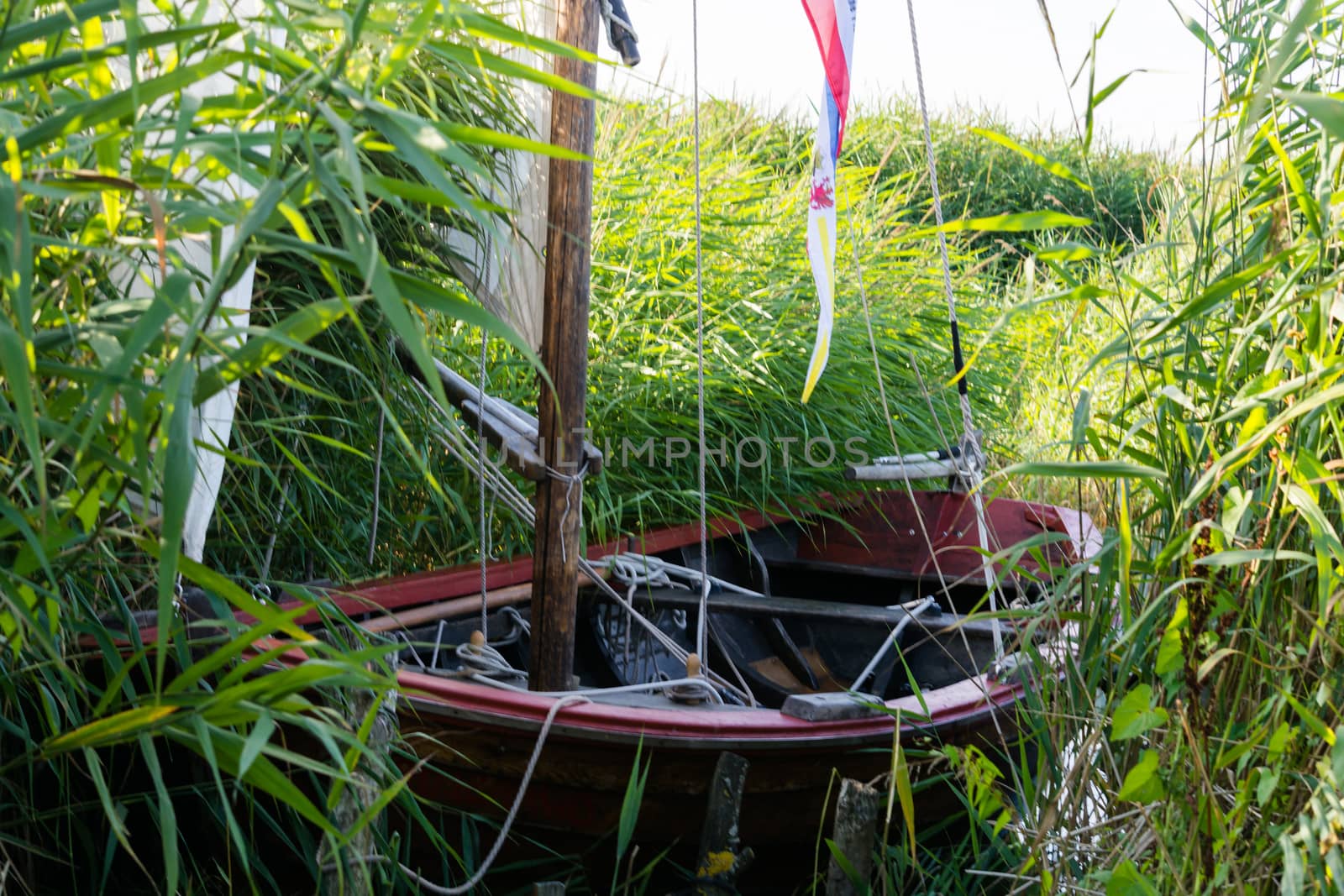 Wooden boat on the shore of a lake in the reeds              