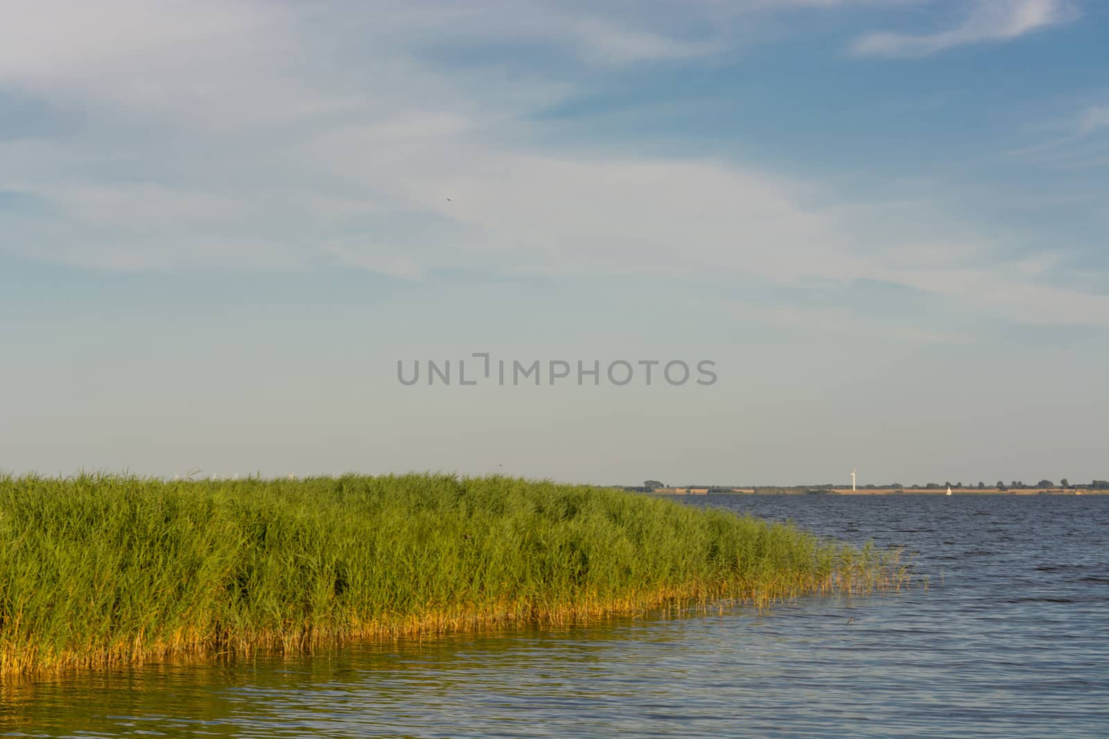 National Park Vorpommersche Boddenlandschaft on Fischland at the Baltic resort Ahrenshoop in Germany