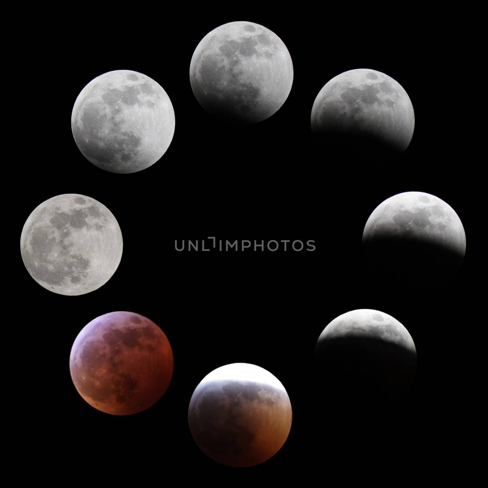 A circle of moons depicts the lead up to a solar eclipse