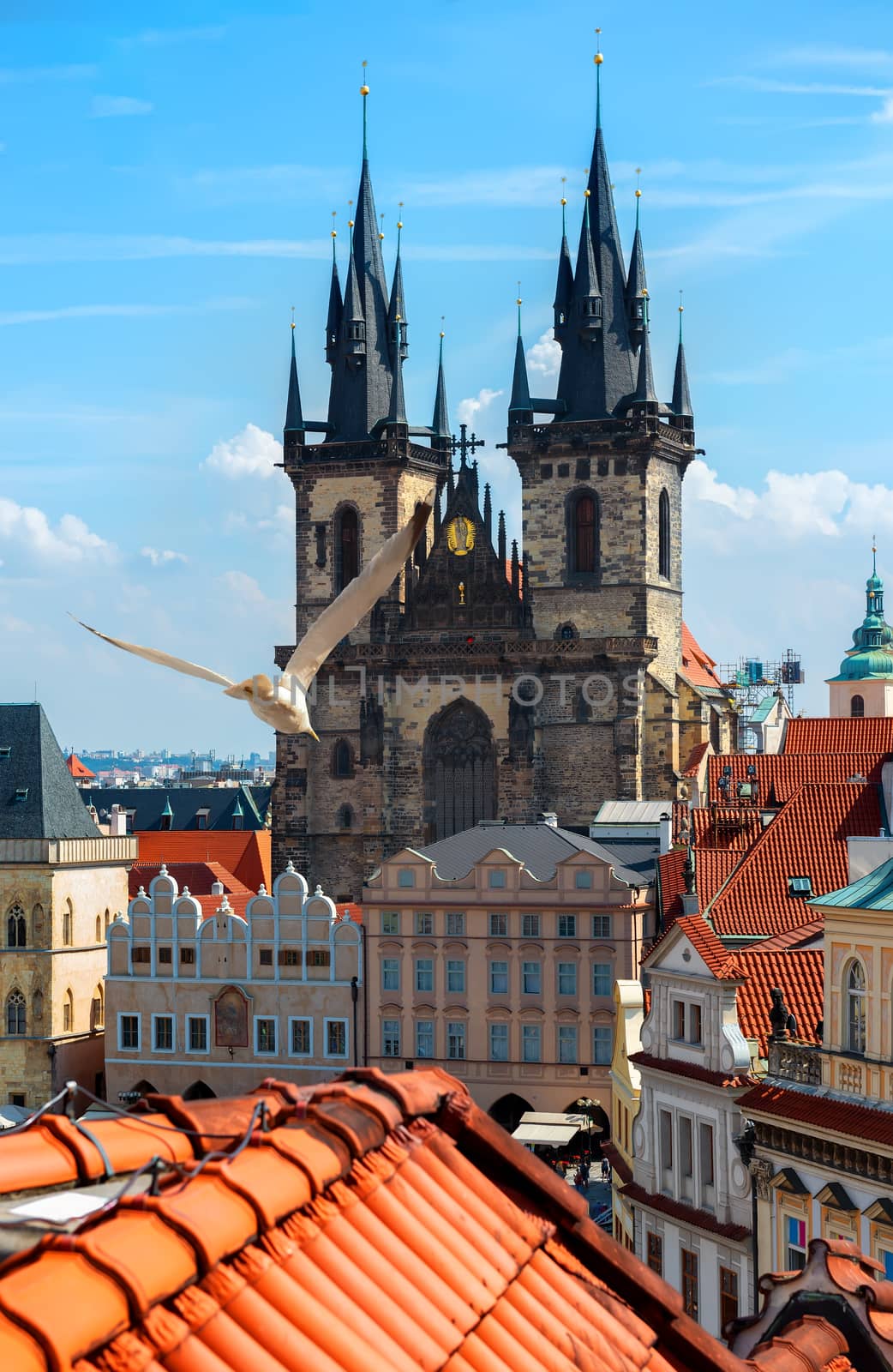 Tynsky cathedral Prague by Givaga