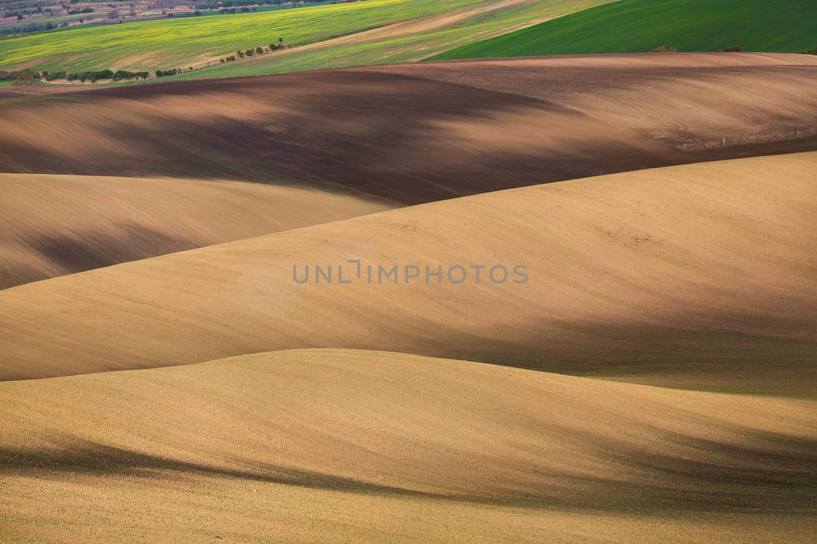 Sunset lines and waves in the spring, South Moravia, Czech Republic