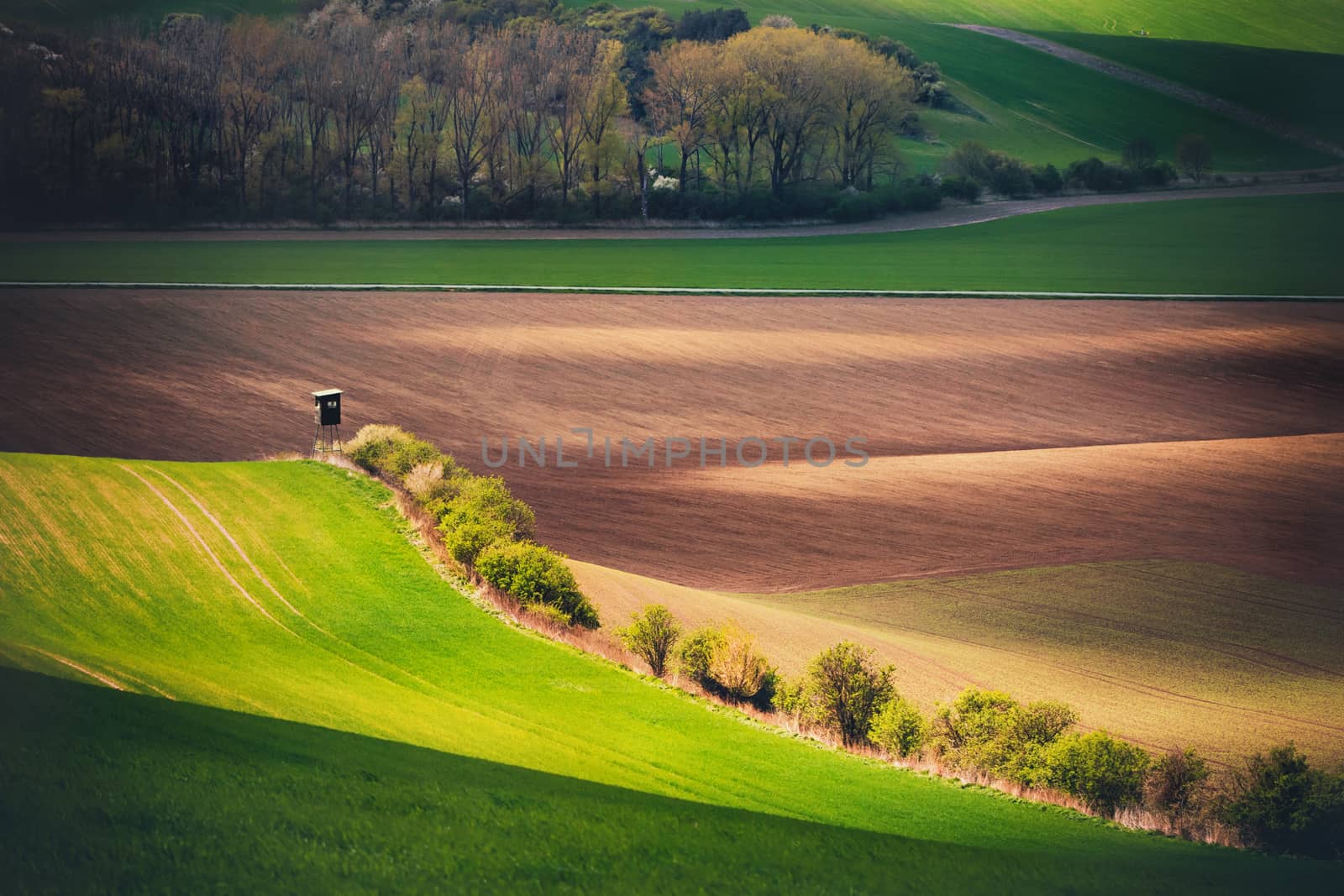 Sunset lines and waves in the spring, South Moravia, Czech Republic