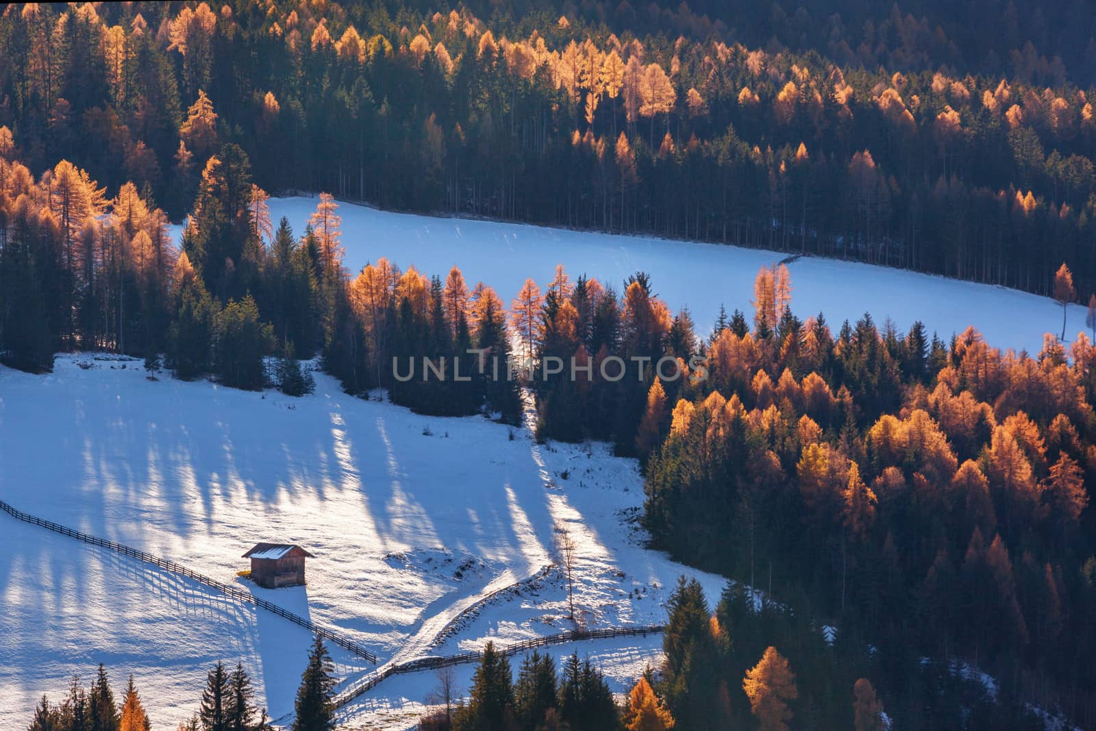 lonely house in winter sunny day in surround of St. Magdalena village, Funes valley, Odle Group, Dolomiti Alps. Bolzano - South Tyrol, Italy