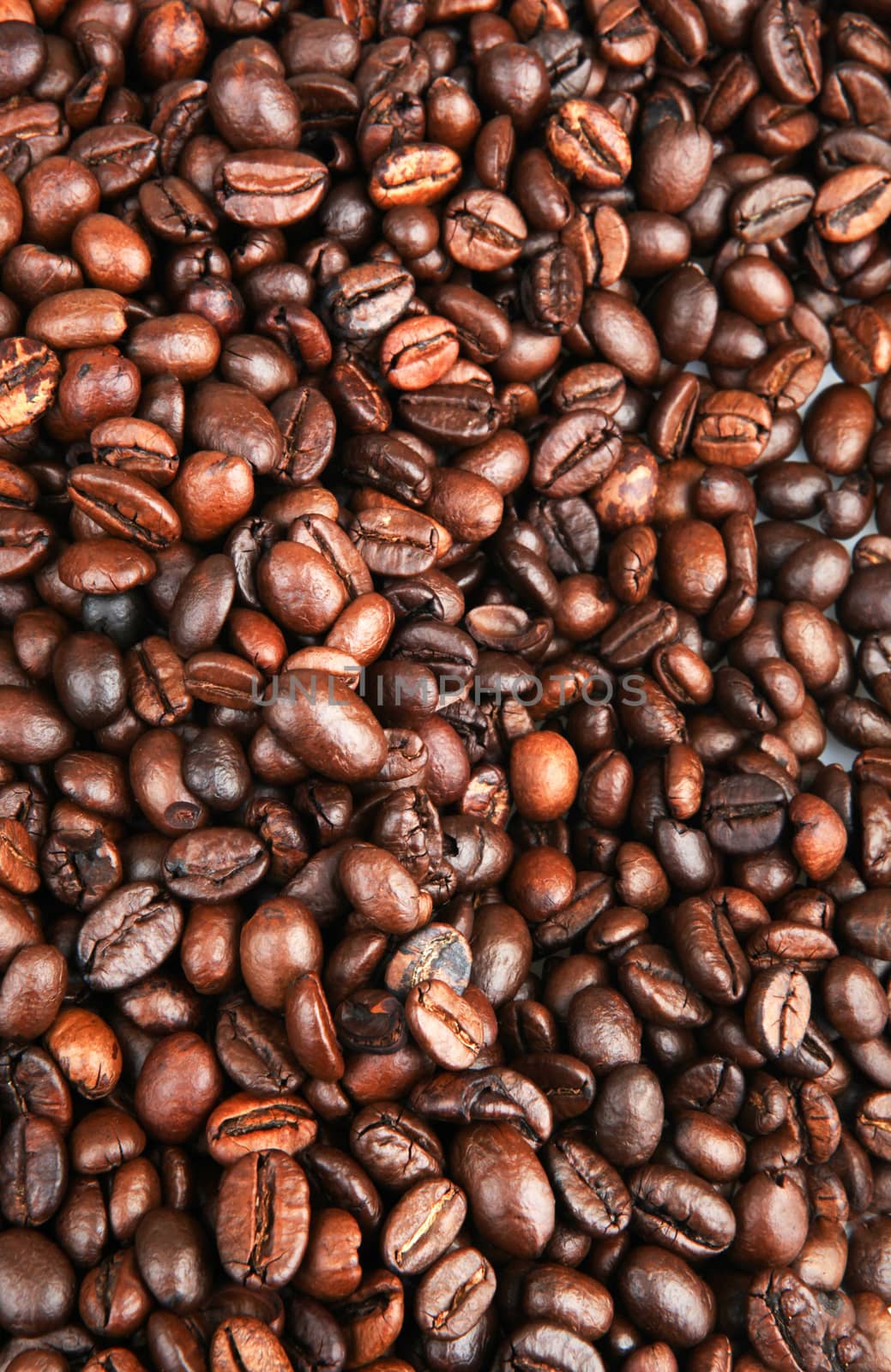 Full Frame Shot Of Coffee Beans by nenovbrothers