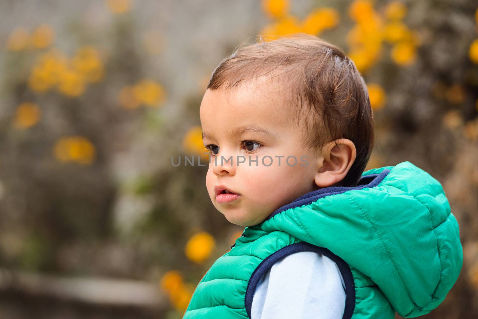Outdoor portrait of mixed raced toddler in a garden, out of focus marigold flowers in the background.