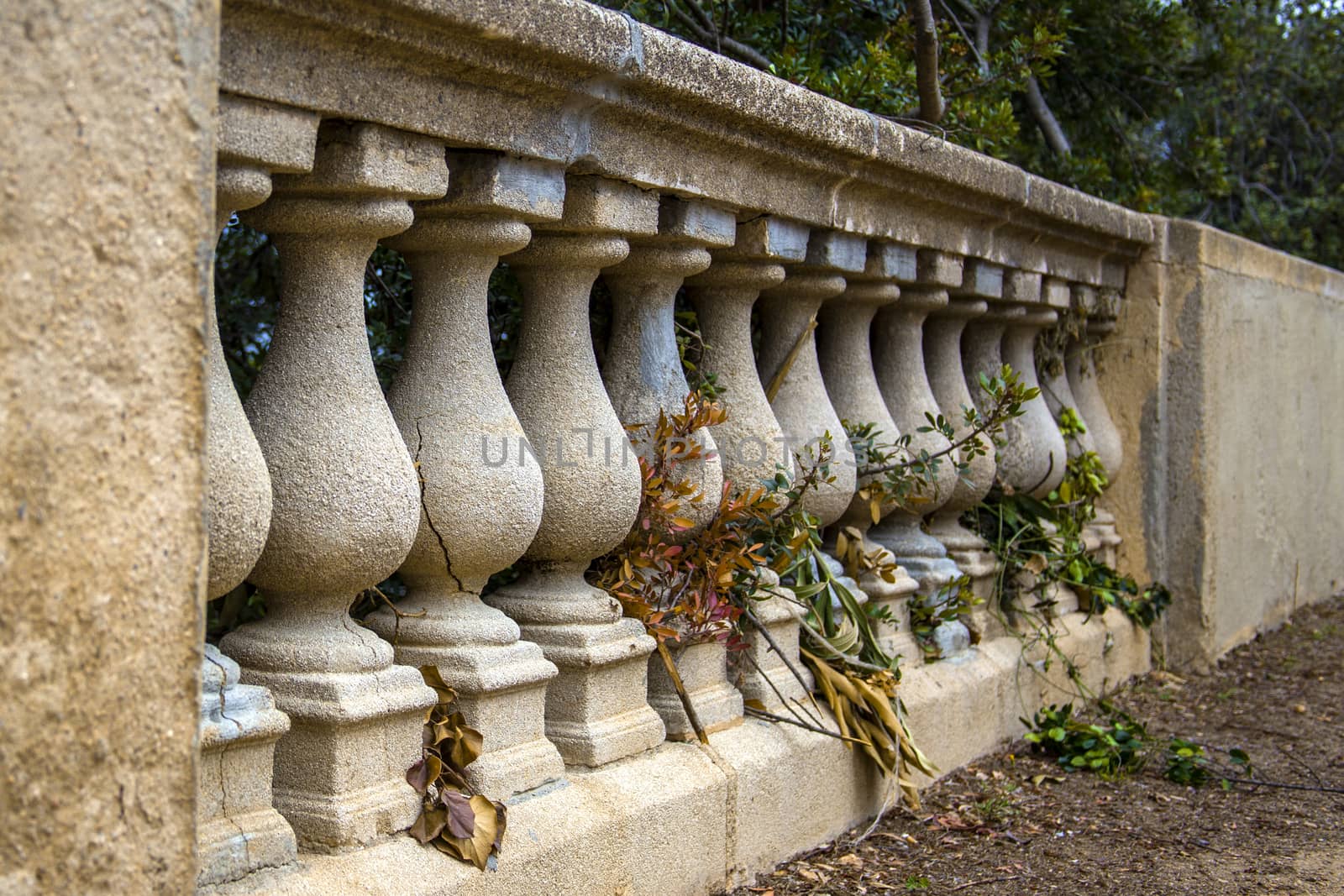 Old balusters made of stone enclosing the garden. Ivy branches pass through them.