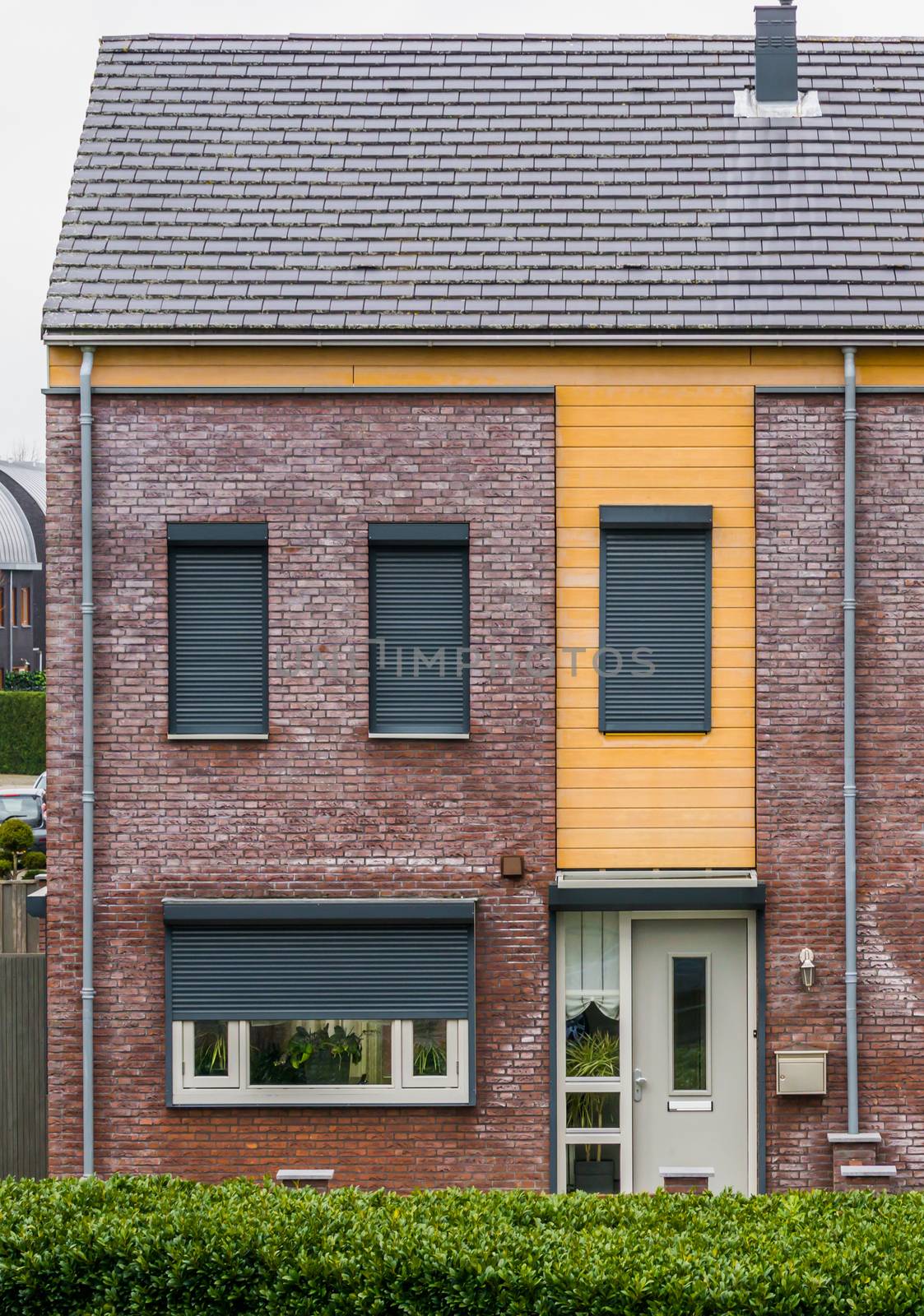 modern dutch terrace house decorated with plants behind the windows, some windows closed down with roller shutters, home in a dutch small village
