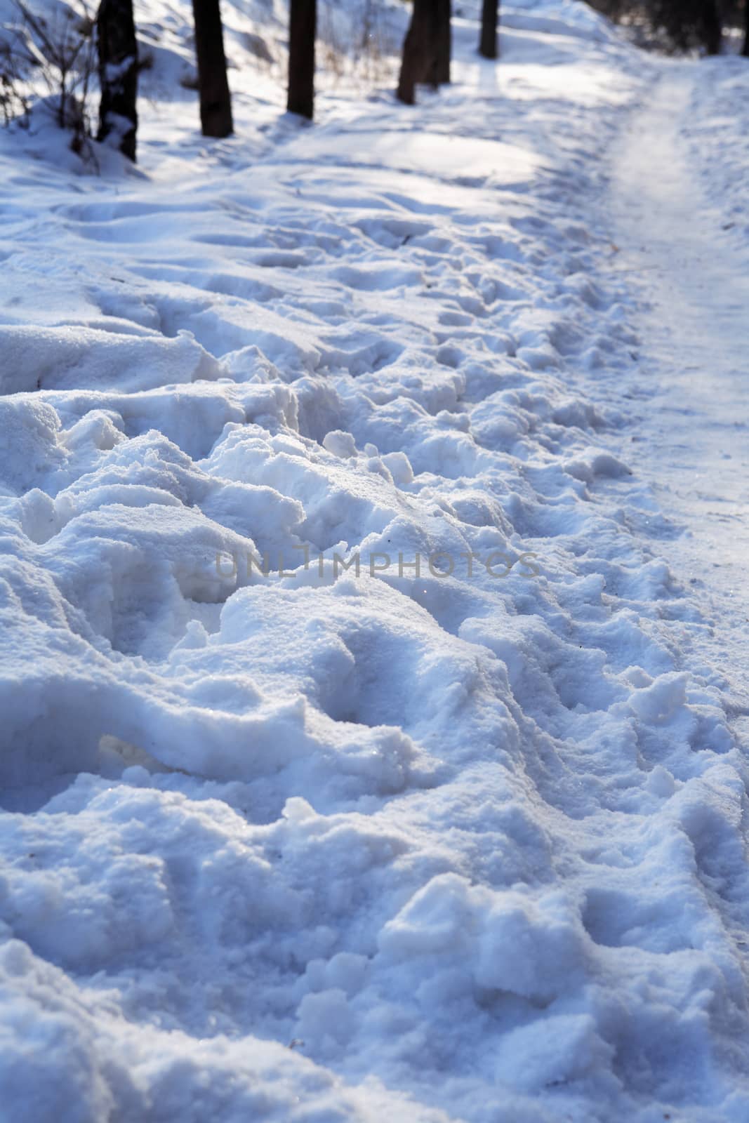 Winter background with footpath across snow